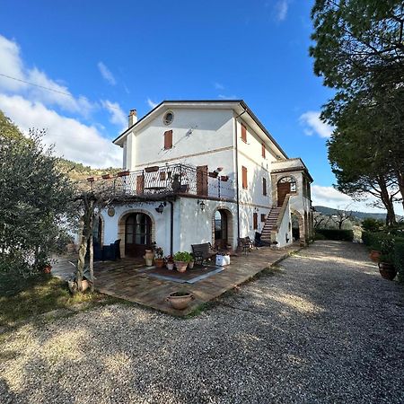 Apartmán Casa Vacanze Cristina - Holiday House Ripatransone Exteriér fotografie