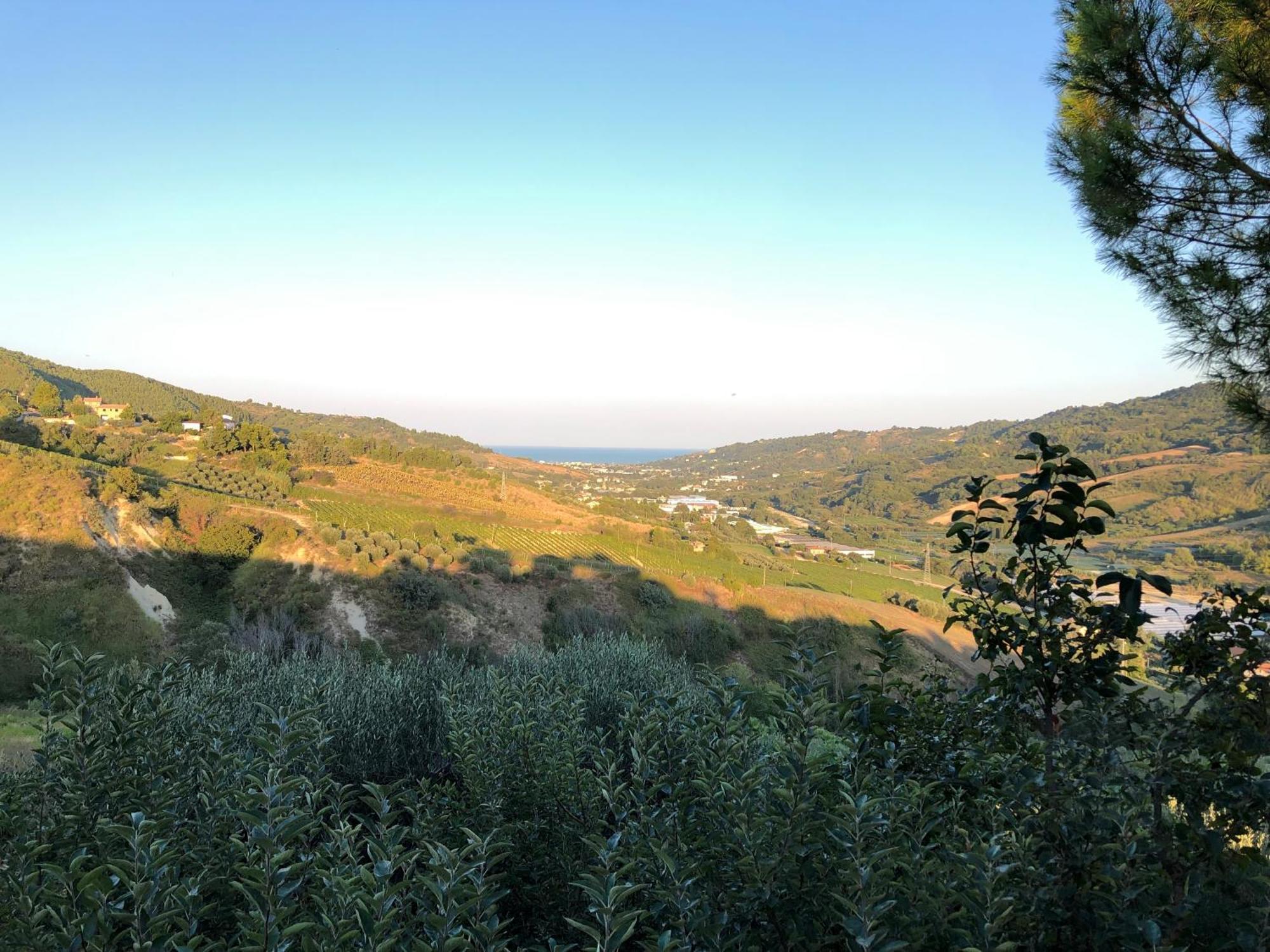 Apartmán Casa Vacanze Cristina - Holiday House Ripatransone Exteriér fotografie